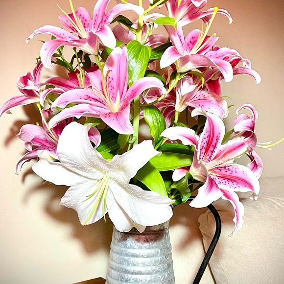 Meet your Posher, Tonya - Picture 7 of 11